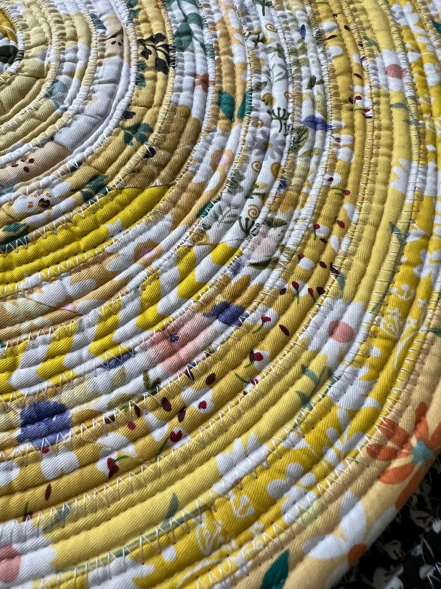 Jelly Roll Rug- Sunshine Rays